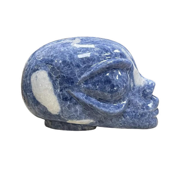 crâne alien en calcite bleue 4 | dans les yeux de Gaïa