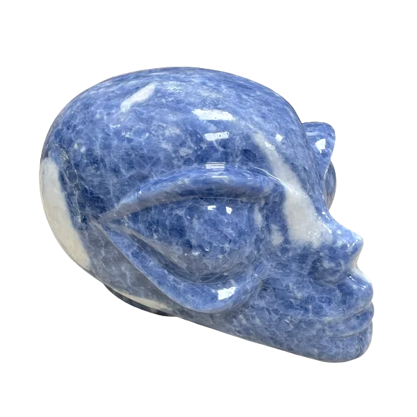 crâne alien en calcite bleue 3 | dans les yeux de Gaïa