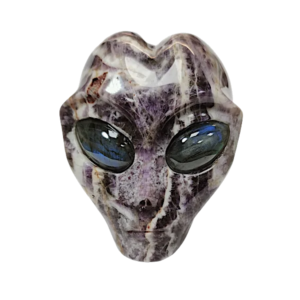 Crâne alien améthyste chevron 2 | dans les yeux de Gaïa
