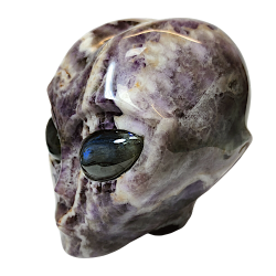 Crâne alien améthyste chevron 1 | dans les yeux de Gaïa