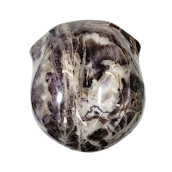 Crâne alien en Améthyste Chevron | Crânes de Cristal | Dans les yeux de Gaïa