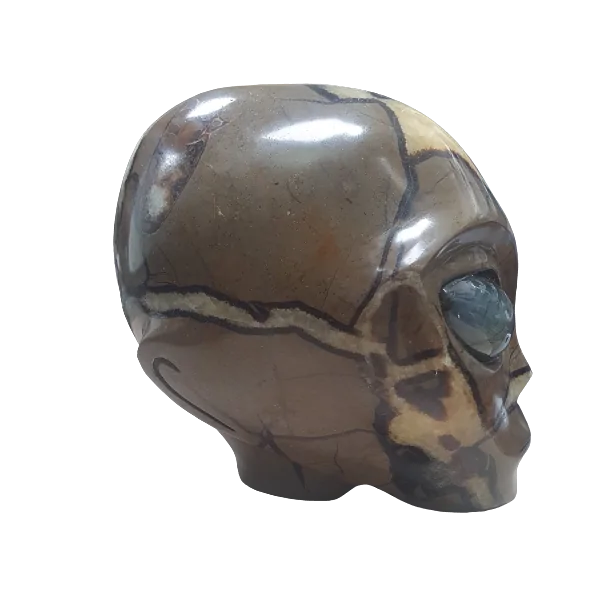 Crâne Alien en Septaria - lateral | Dans les yeux de Gaïa