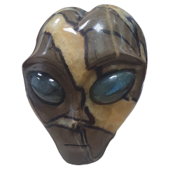 Crâne Alien en Septaria - face | Dans les yeux de Gaïa