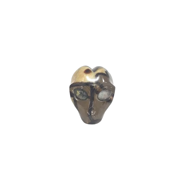 Crâne Alien en Septaria 38F | Dans les Yeux de Gaïa 2