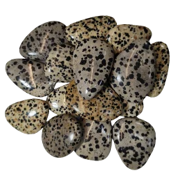 jaspe dalmatien 1 | Dans les Yeux de Gaïa