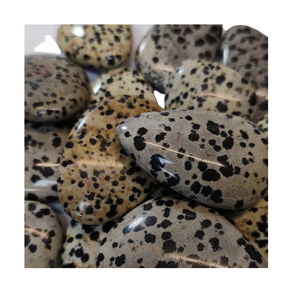 jaspe dalmatien 2 | Dans les Yeux de Gaïa