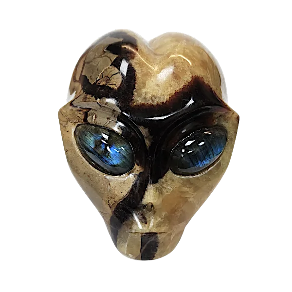 crâne alien septaria face | Dans les yeux de Gaïa
