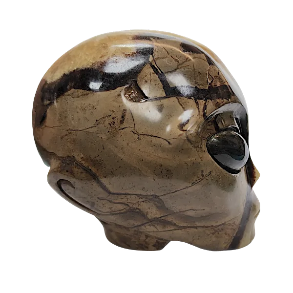 crâne alien septaria droite | Dans les yeux de Gaïa