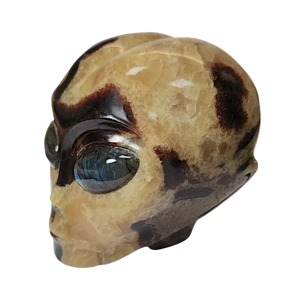 crâne alien septaria face gauche | Dans les yeux de Gaïa