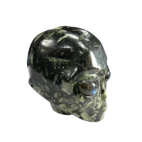 Crâne Alien en Jaspe Pivoine - profil| Dans les yeux de Gaïa