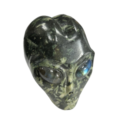Crâne Alien en Jaspe Pivoine - face | Dans les yeux de Gaïa