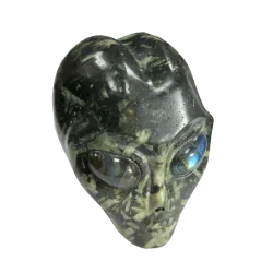 Crâne Alien en Jaspe Pivoine - face | Dans les yeux de Gaïa