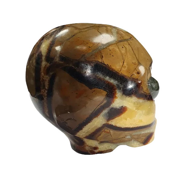 Crâne Alien en Septaria - profil | Dans les yeux de Gaïa