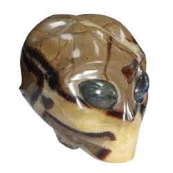 Crâne Alien en Septaria CA78