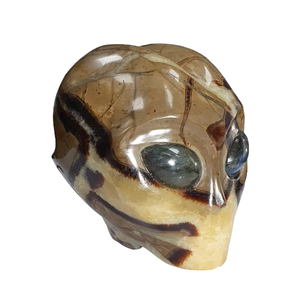 Crâne Alien en Septaria - latéral | Dans les yeux de Gaïa