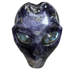 Crâne d'Alien en Améthyste | Dans les Yeux de Gaïa