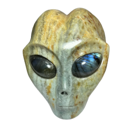 Crâne d'Alien en Amazonite | Dans les Yeux de Gaïa