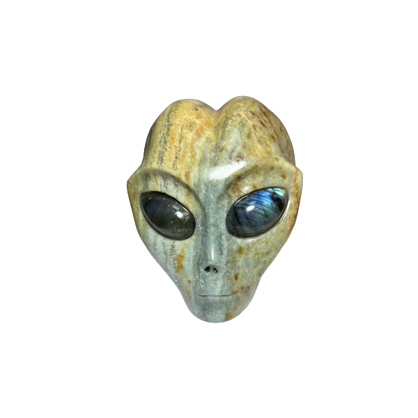 Crâne d'Alien en Amazonite | Dans les Yeux de Gaïa