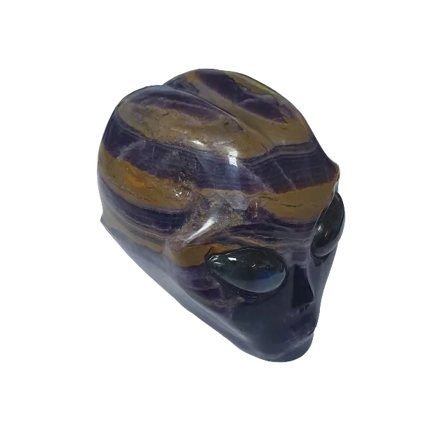 Crâne Alien en Améthyste - profil | Dans les yeux de Gaïa