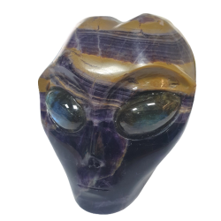 Crâne Alien en Améthyste - face| Dans les yeux de Gaïa