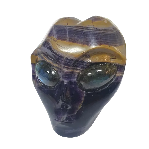 Crâne Alien en Améthyste - face| Dans les yeux de Gaïa