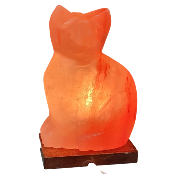 Lampe en Cristal de Sel en forme de Chat - face éclairé| Dans les yeux de Gaïa
