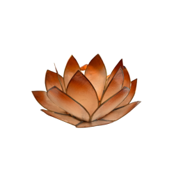 Photophore lotus mandarine