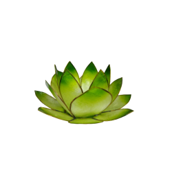 Photophore Lotus Vert