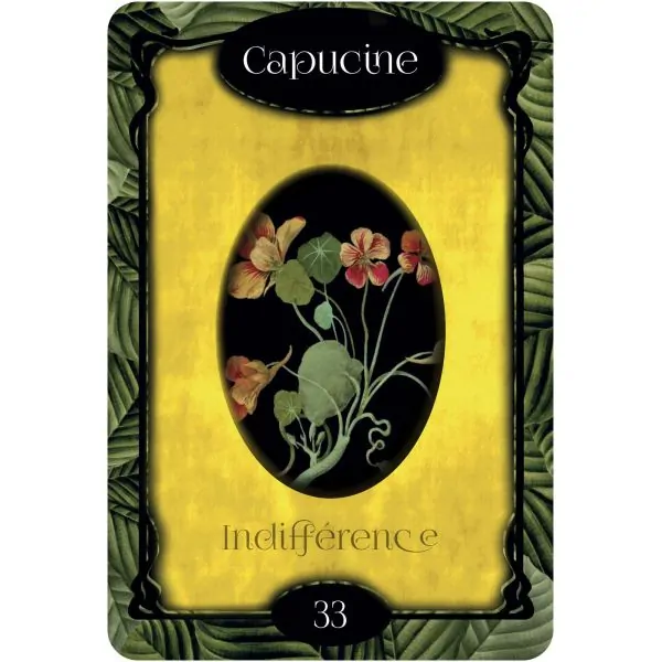 L'Oracle des fleurs 4 - Guidance & cartomancie |Dans les Yeux de Gaïa - Carte 1