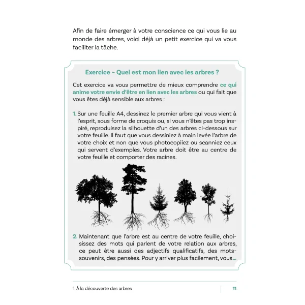 Se connecter à l'énergie des arbres et recevoir leurs messages 5 - Arbre |Dans les Yeux de Gaïa - Exercice pratique