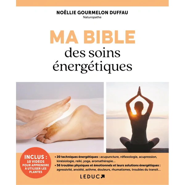 Ma bible des soins énergétiques - couverture| Dans les Yeux de Gaïa