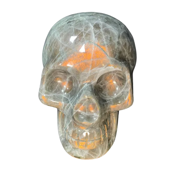 Crâne chamanique en Labradorite 3| Dans les Yeux de Gaïa