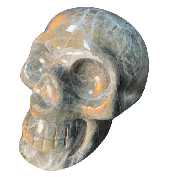Crâne chamanique en Labradorite 2| Dans les Yeux de Gaïa