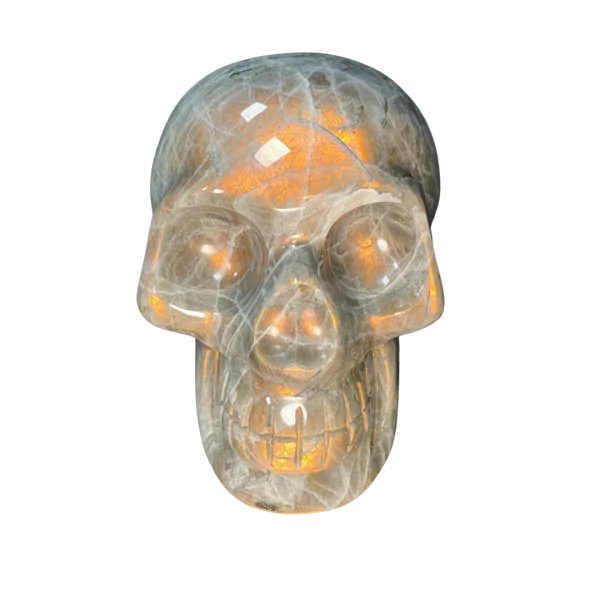 Crâne chamanique en Labradorite 4| Dans les Yeux de Gaïa