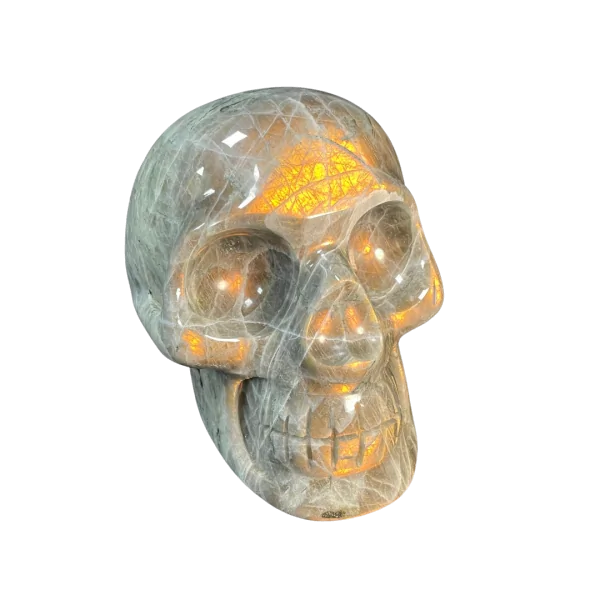 Crâne chamanique en Labradorite 5| Dans les Yeux de Gaïa