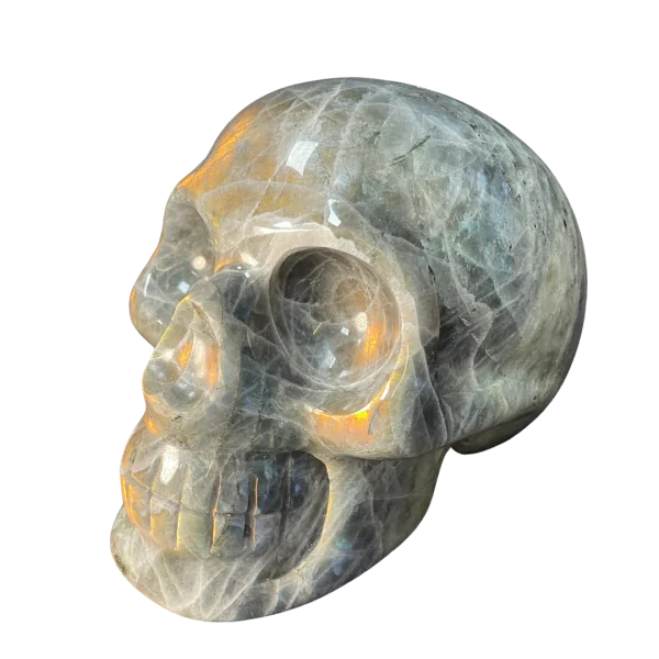 Crâne chamanique en Labradorite 6| Dans les Yeux de Gaïa