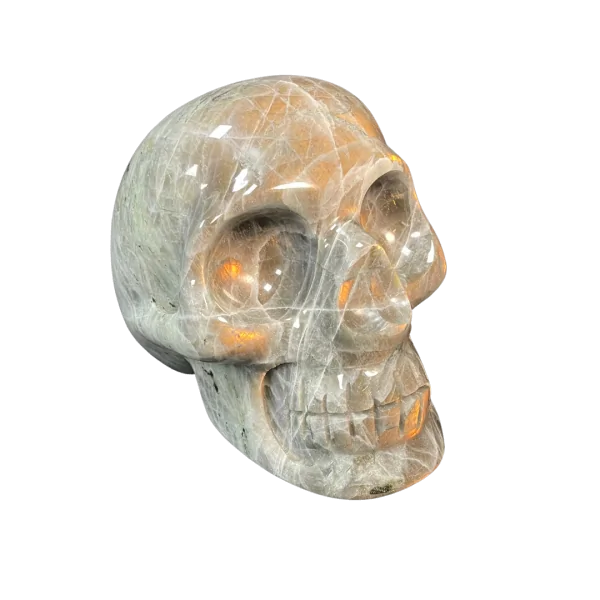 Crâne chamanique en Labradorite 7| Dans les Yeux de Gaïa