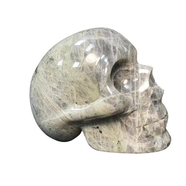 Crâne chamanique en Labradorite 9| Dans les Yeux de Gaïa