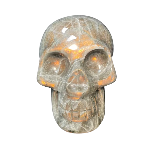 Crâne chamanique en Labradorite 1| Dans les Yeux de Gaïa