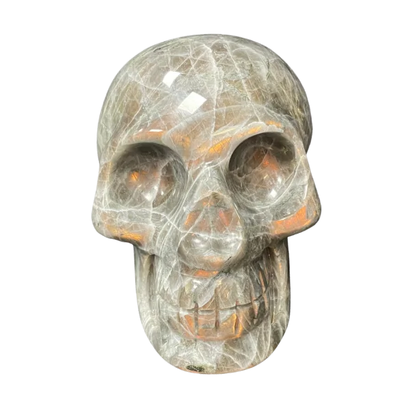 Crâne chamanique en Labradorite 10| Dans les Yeux de Gaïa