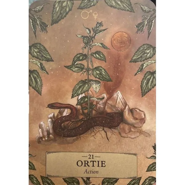 L'Oracle des Astres et des Plantes - Adriana Ayales - Carte 3| Dans les Yeux de Gaïa