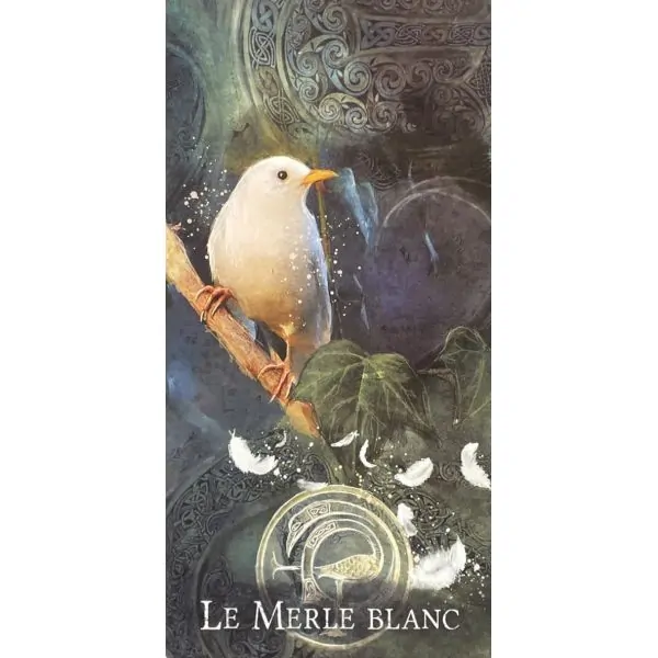 Oracle de Merlin - carte "Le merle blanc" | Dans les Yeux de Gaïa