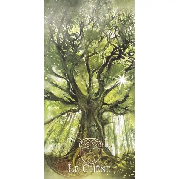 Oracle de Merlin - carte "Le chêne" | Dans les Yeux de Gaïa