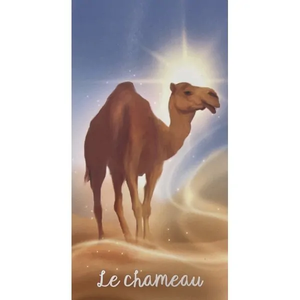 Mon petit oracle des animaux magiques - Le chameau | Les Yeux de Gaïa