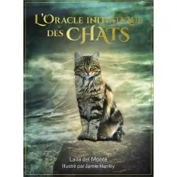 L'Oracle initiatique des chats - cartomancie | Dans les yeux de Gaïa