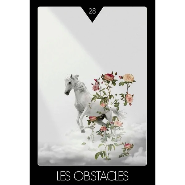 Réalise ton aspiration - tarot| Dans les Yeux de Gaïa