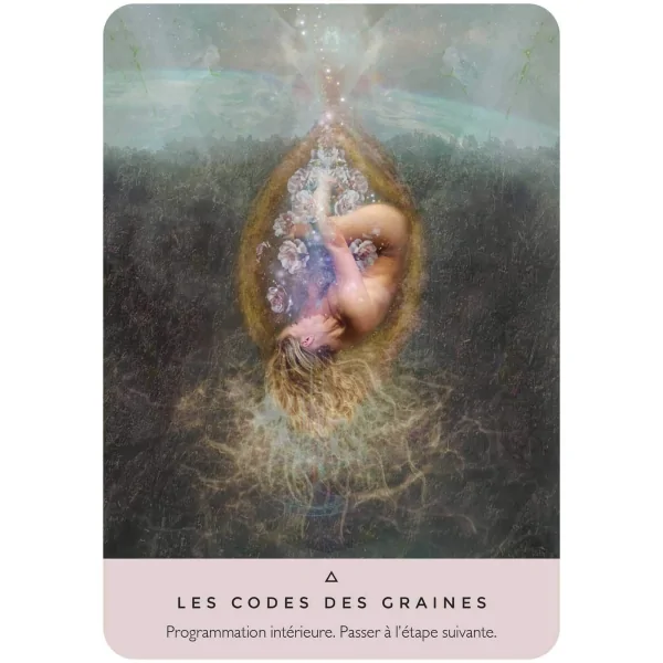 L'oracle de la rose - ésoterisme | Dans les Yeux de Gaïa